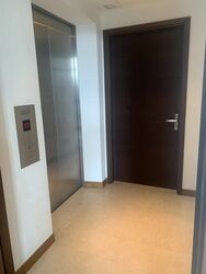 Residences @ Evelyn (D11), Condominium #491696241